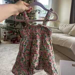 Joie Pink and Green Floral Dress